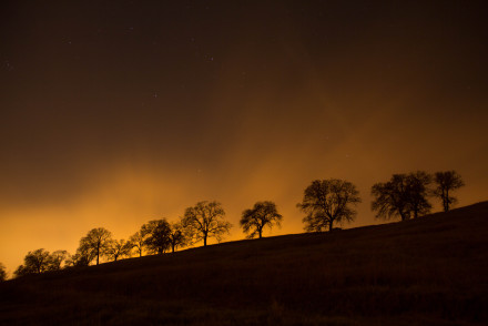 Lostinmyreverie-winter